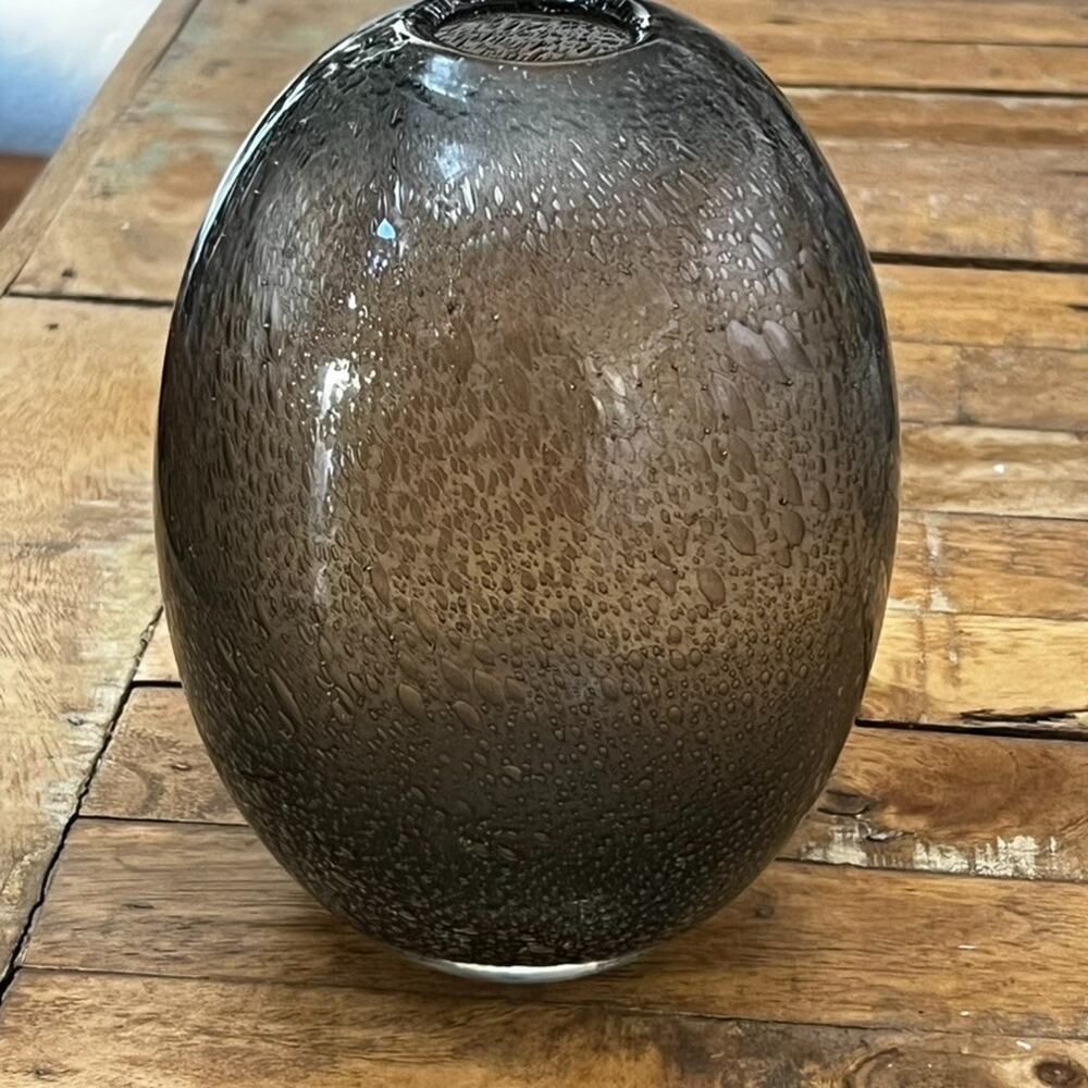 Blown Control Bubble Glass Vase Oval Shaped Minimalist Home Decor